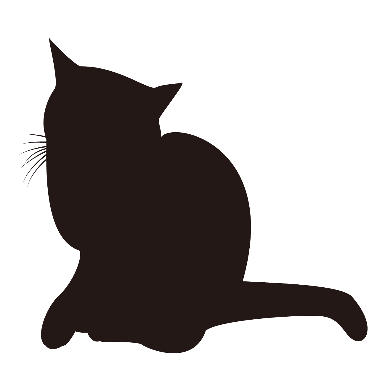 忍者ねこカフェ 猫影