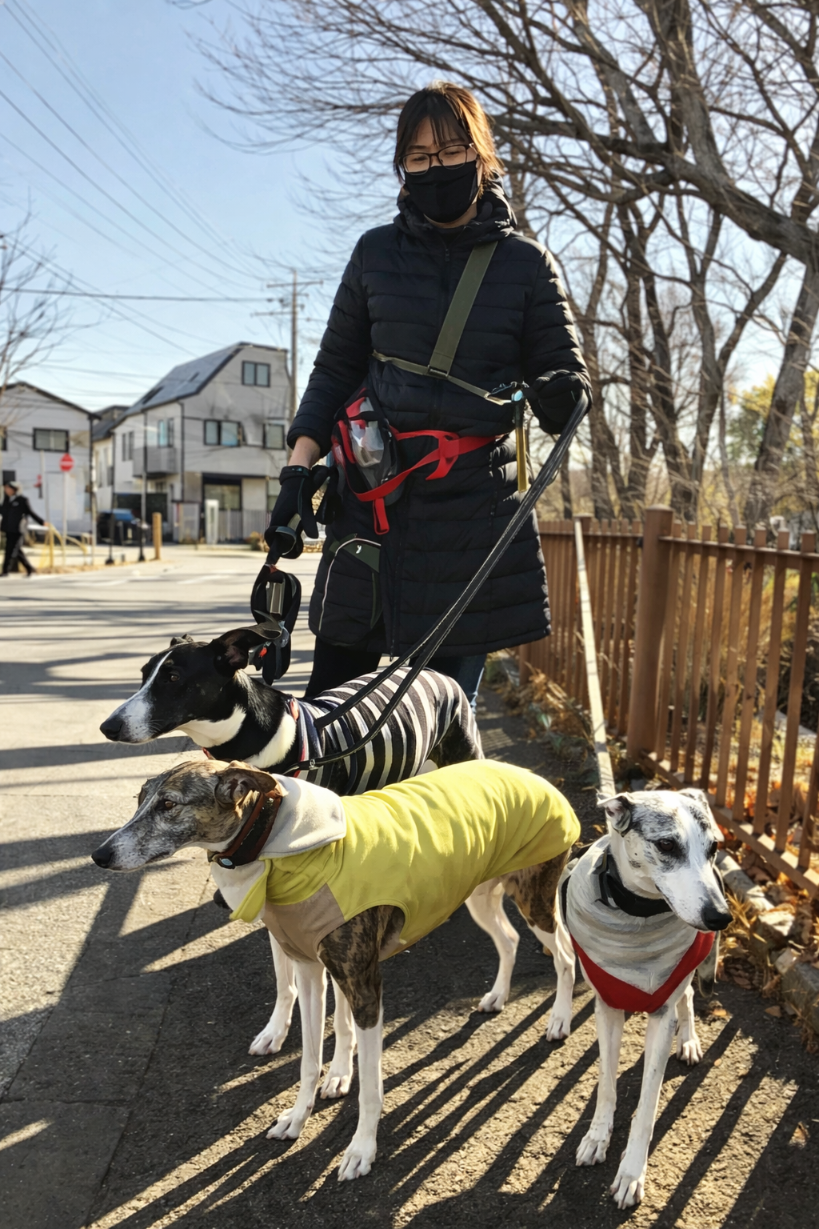 小平市のペットホテル 津田町動物ホテルで犬の散歩をする様子
