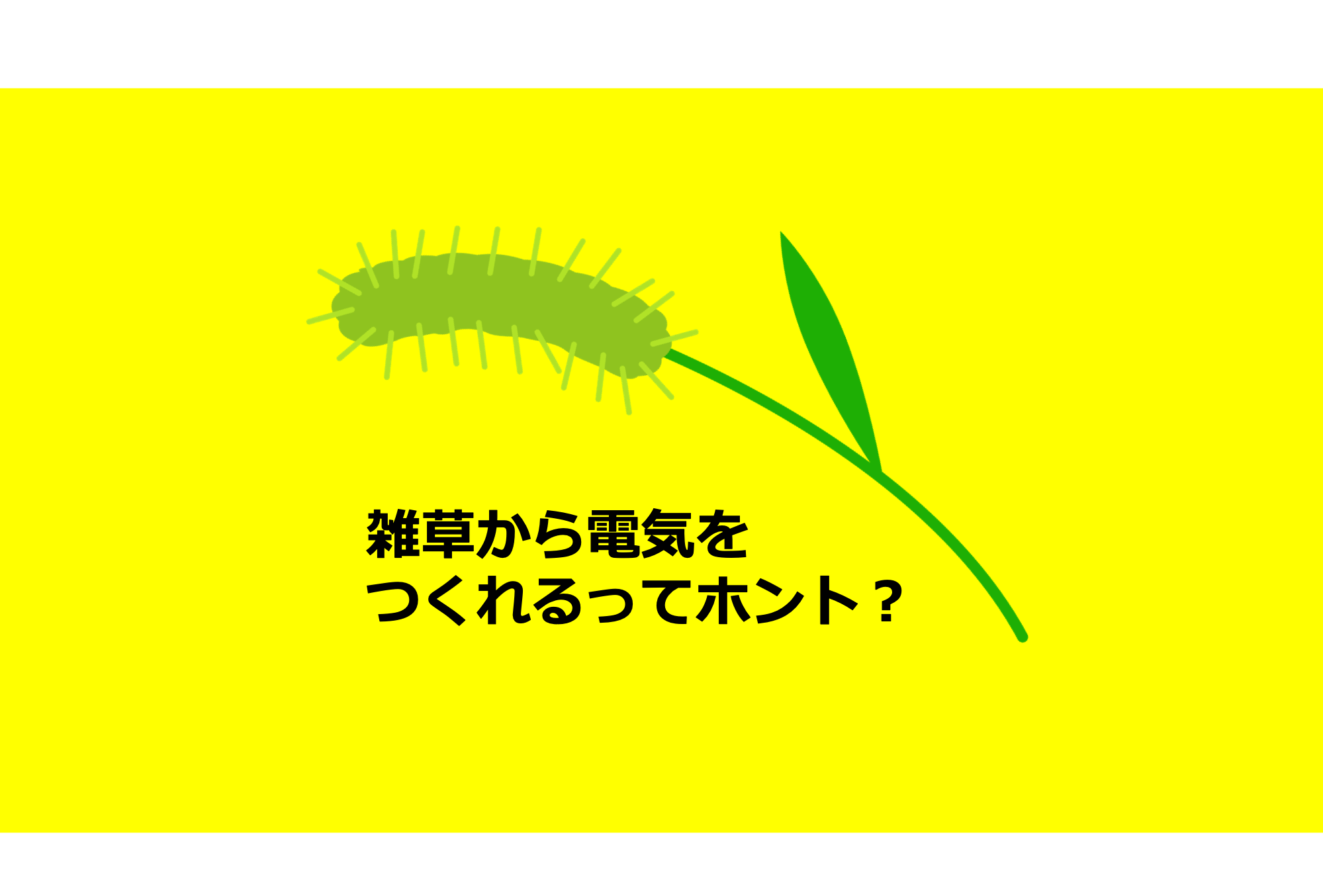 雑草から調理用ガスと電気をつくる ルーメンメタン発酵 雑草から調理用ガスと電気をつくる ルーメンメタン発酵