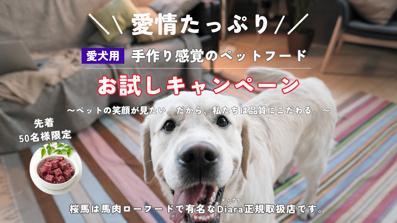 愛情たっぷり。手作り感覚のペットフード。お試しキャンペーン。