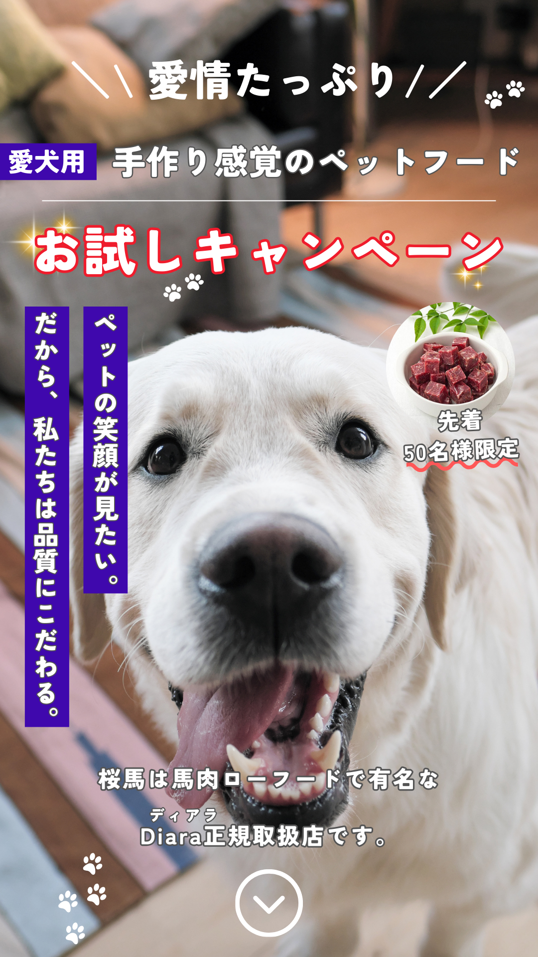 愛情たっぷり。手作り感覚のペットフード。お試しキャンペーン。