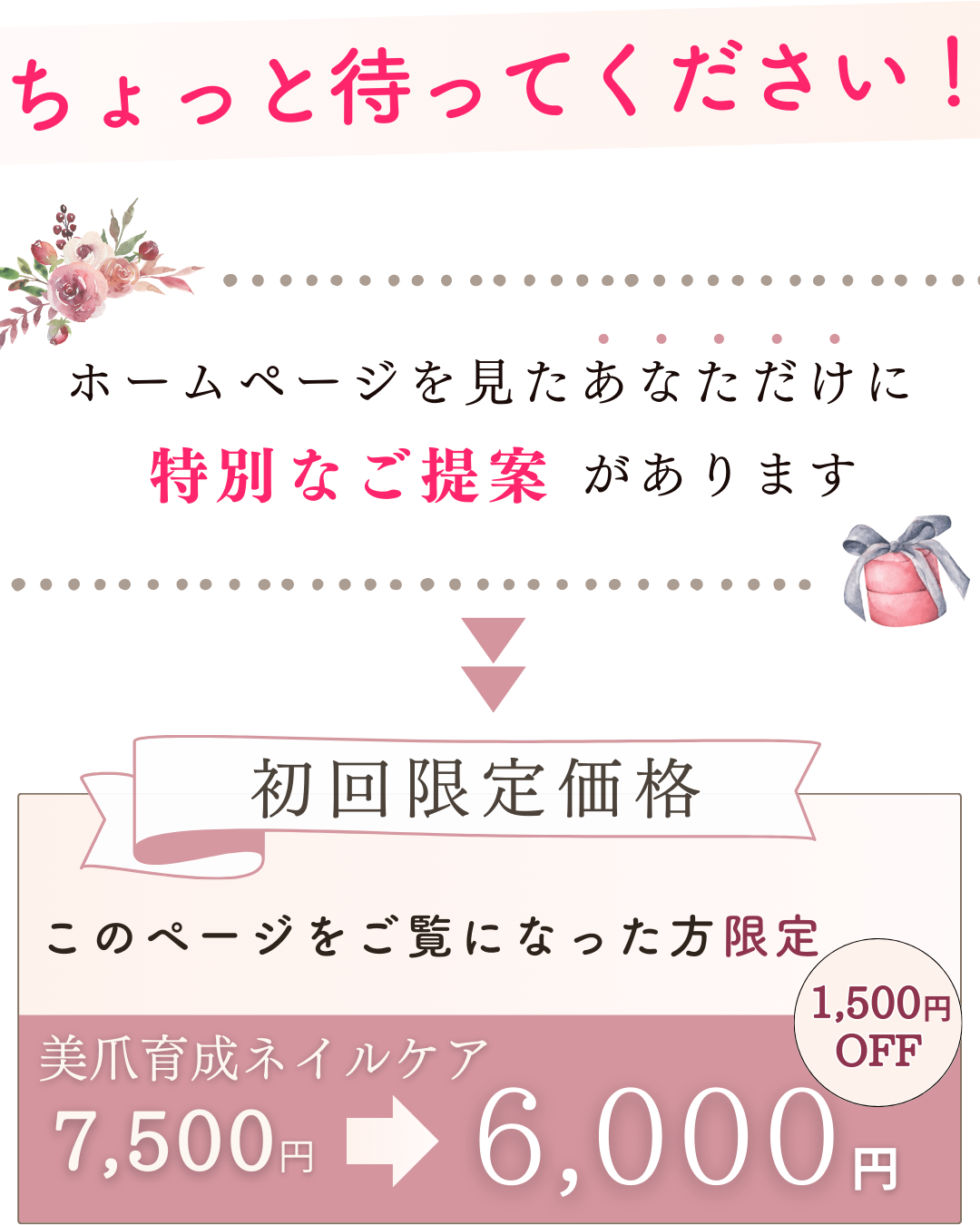初回限定価格ご紹介