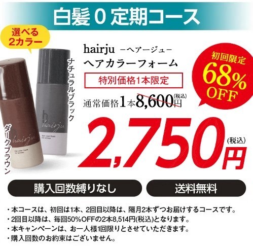 hairju ヘアカラーフォーム ナチュラルブラック2本セット【お