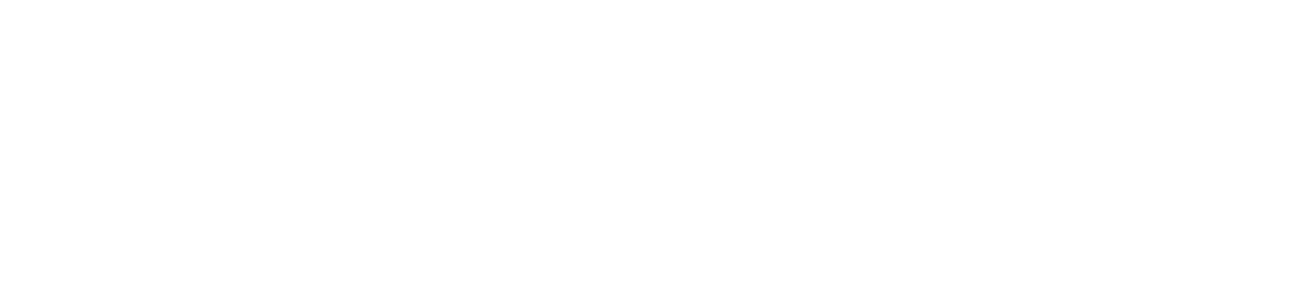 チャリルBIZ