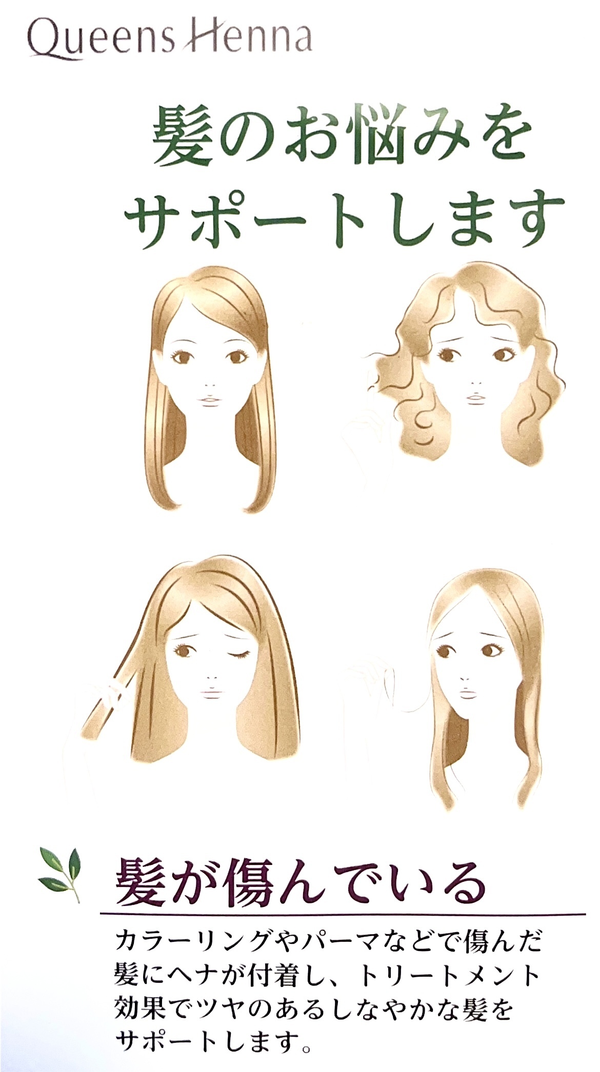 クイーンズヘナ6色計10個