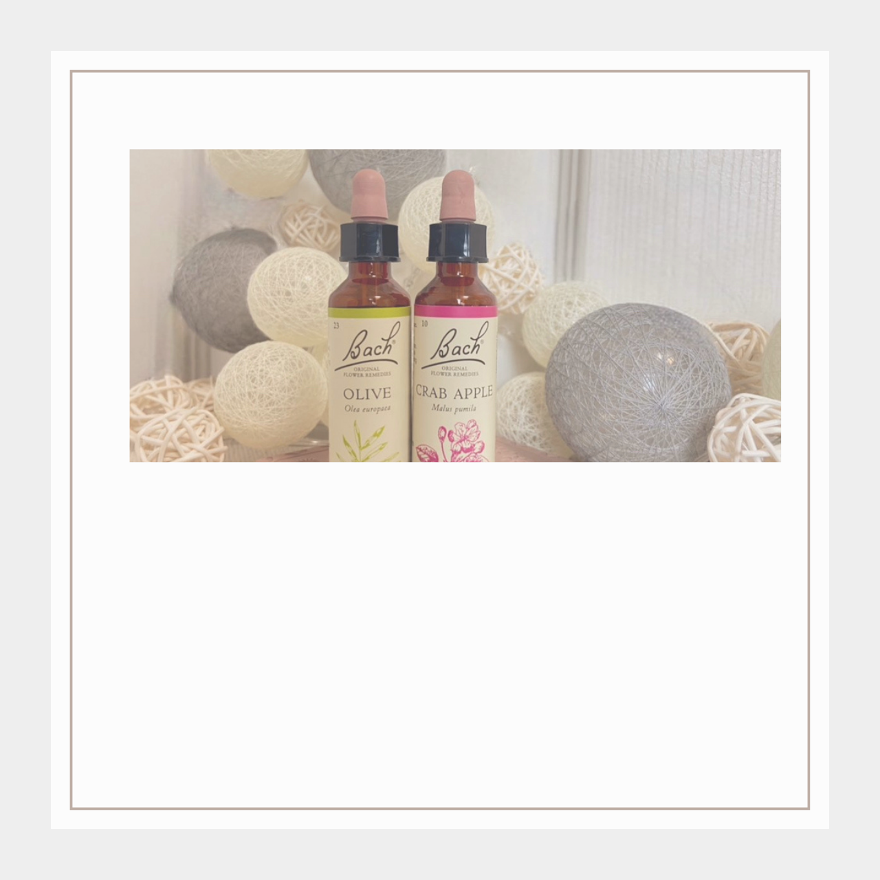 バッチフラワーレメディ