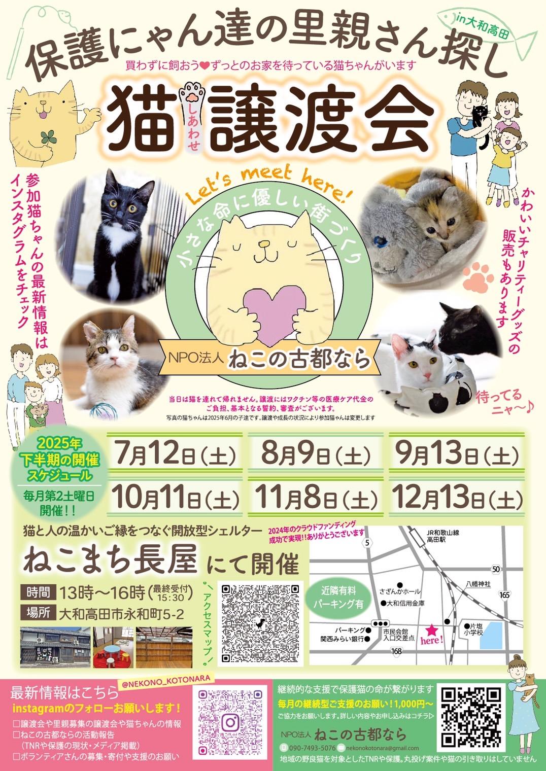 保護猫譲渡会の情報です。