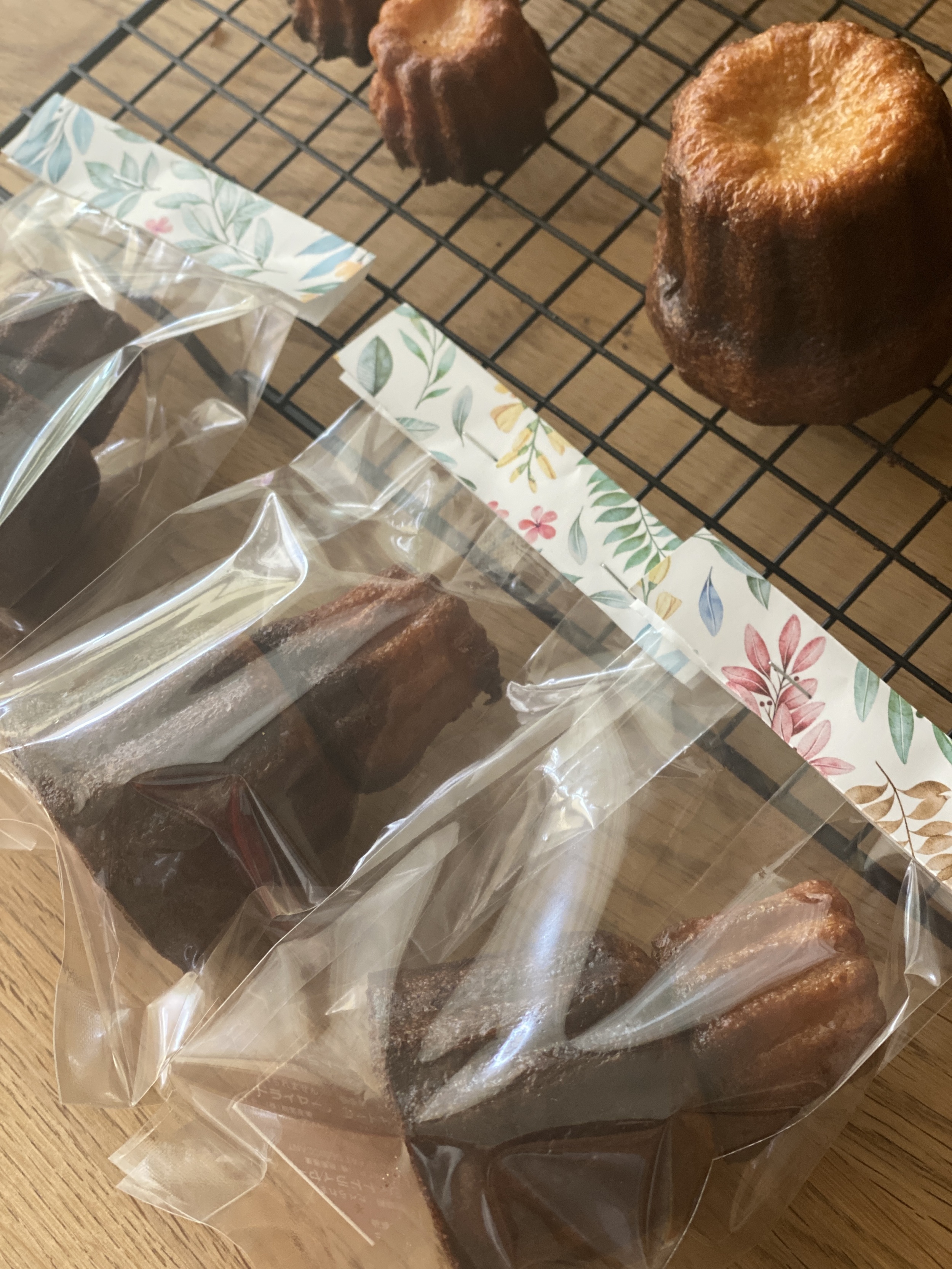 麹クリエイター講座 「⽇本で唯一 6種類の麹が作れるようになるおうち