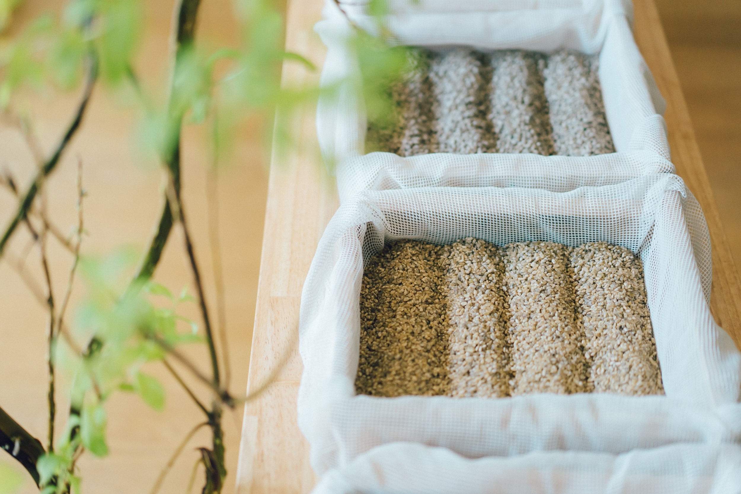 麹クリエイター講座 「⽇本で唯一 6種類の麹が作れるようになるおうち