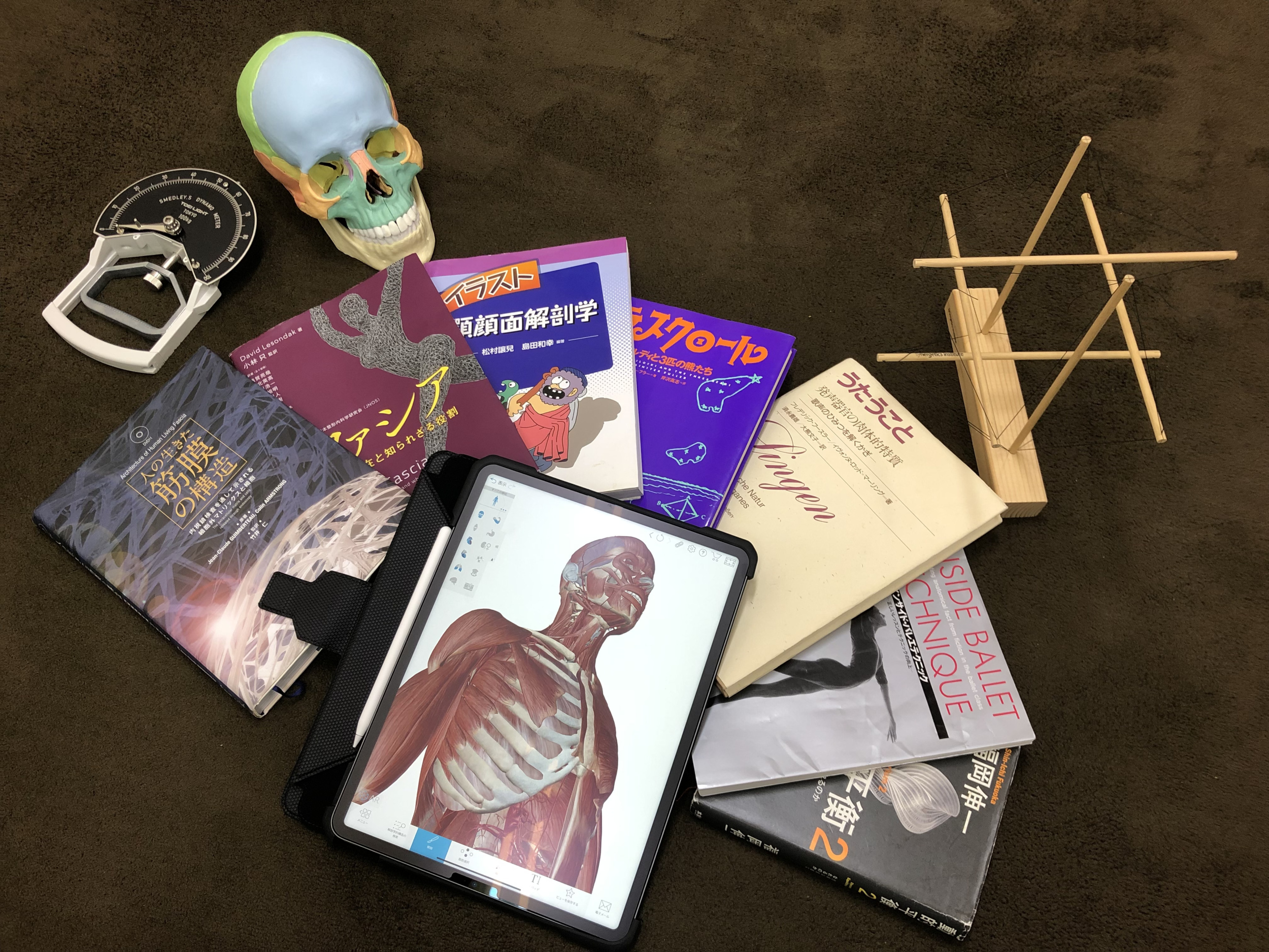 握力計と頭蓋骨とテンセグリティと7冊の本とテンセグリティ模型