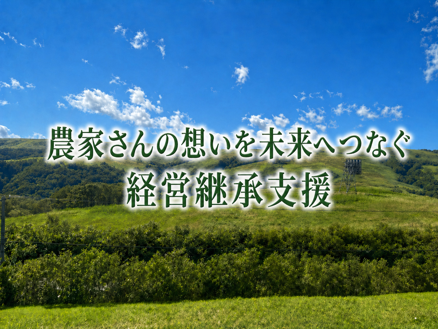 農業、経理、記帳代行、北海道、クミカン、コンサル、コンサルティング、事業承継士、経営継承、事業継承、相談所、農業公社、戦略MG、資金繰り、経営改善、農家さん、農家、