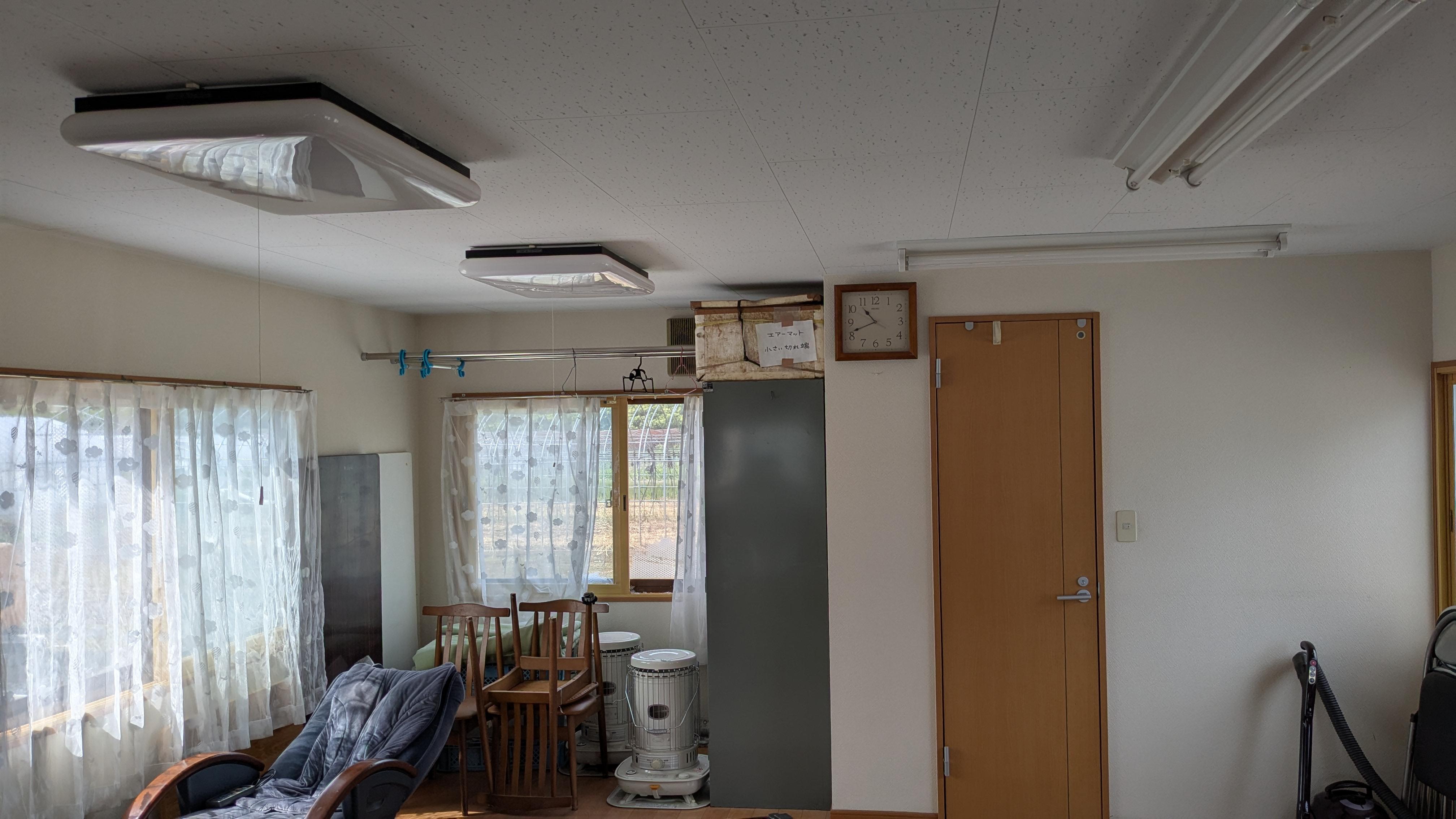 知内　ニラ　㈱のぐち農園　北海道　北の華　明治　新規就農　求人　野口　農業　就農