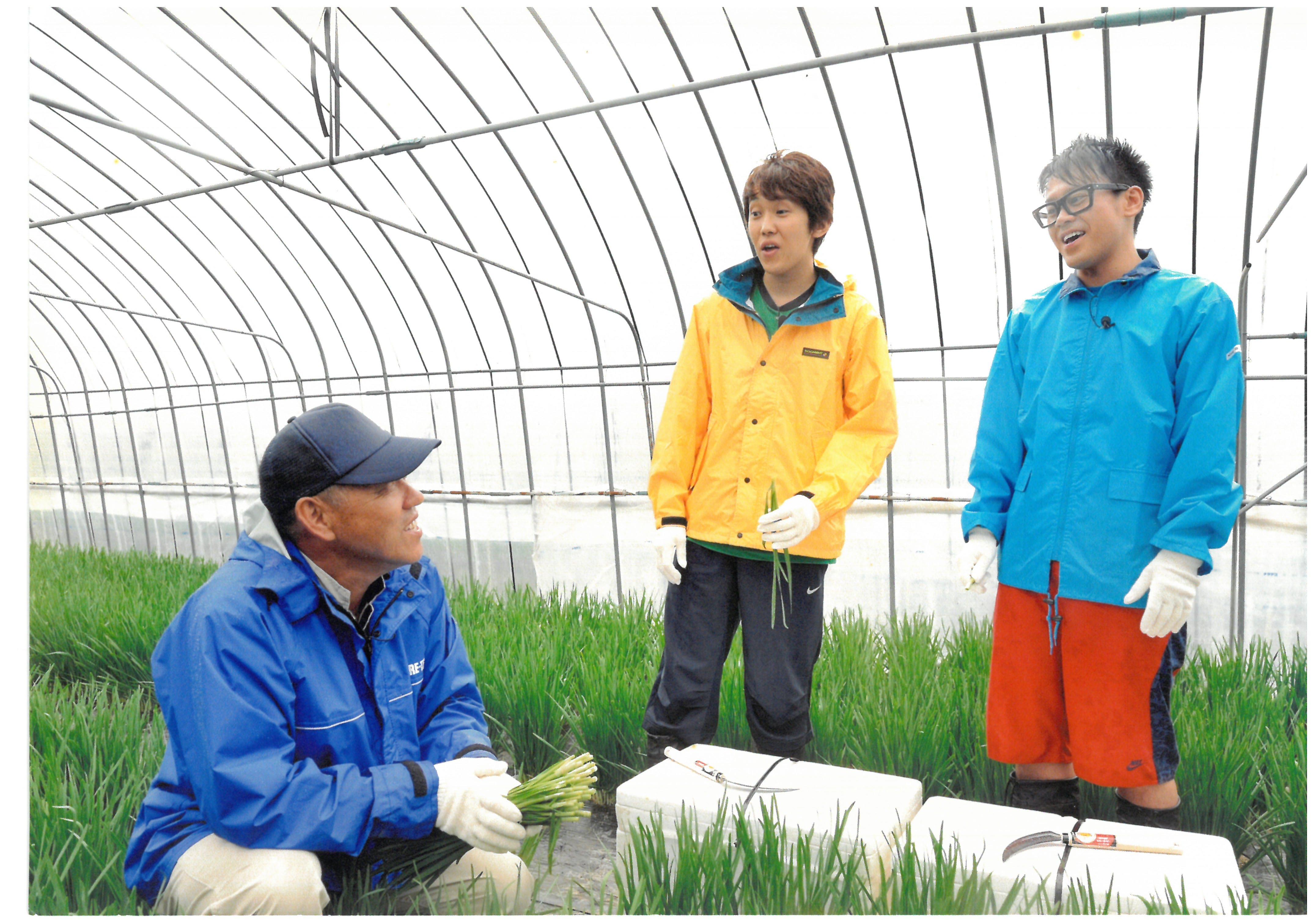 知内　ニラ　㈱のぐち農園　北海道　北の華　明治　新規就農　求人　野口　農業　就農