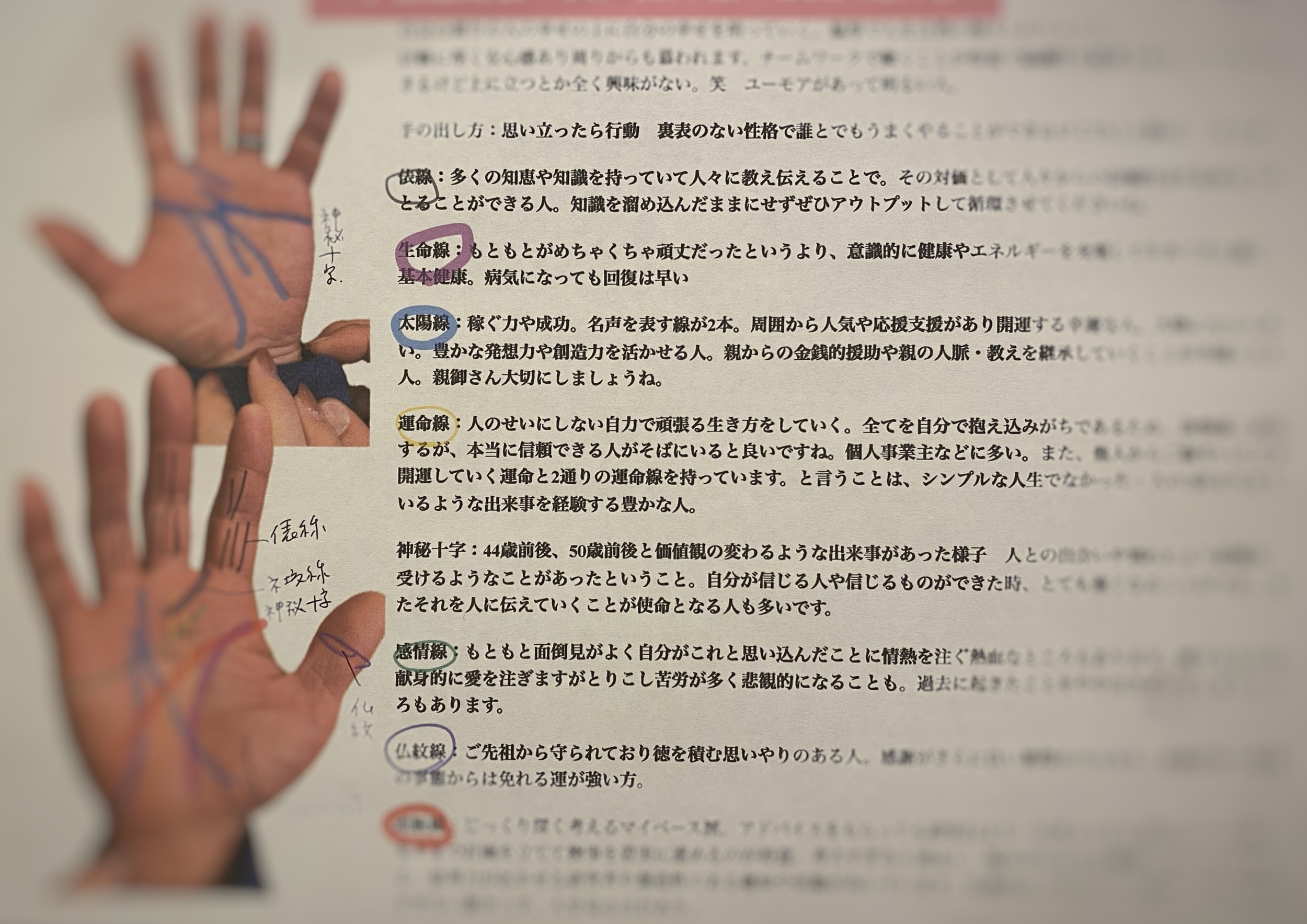 ◇◇キロ 手相の書 手は物語る Cheiro ゆきまる監訳◇◇（キロ