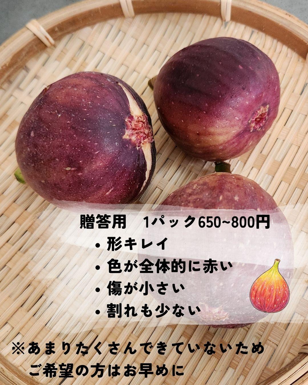 贈答用の桝井ドーフィン