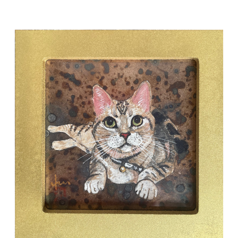 柔らかい日々の商品画像