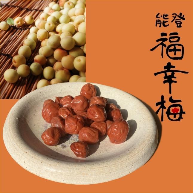 能登福梅＋海洋深層水の塩　梅干しの商品画像