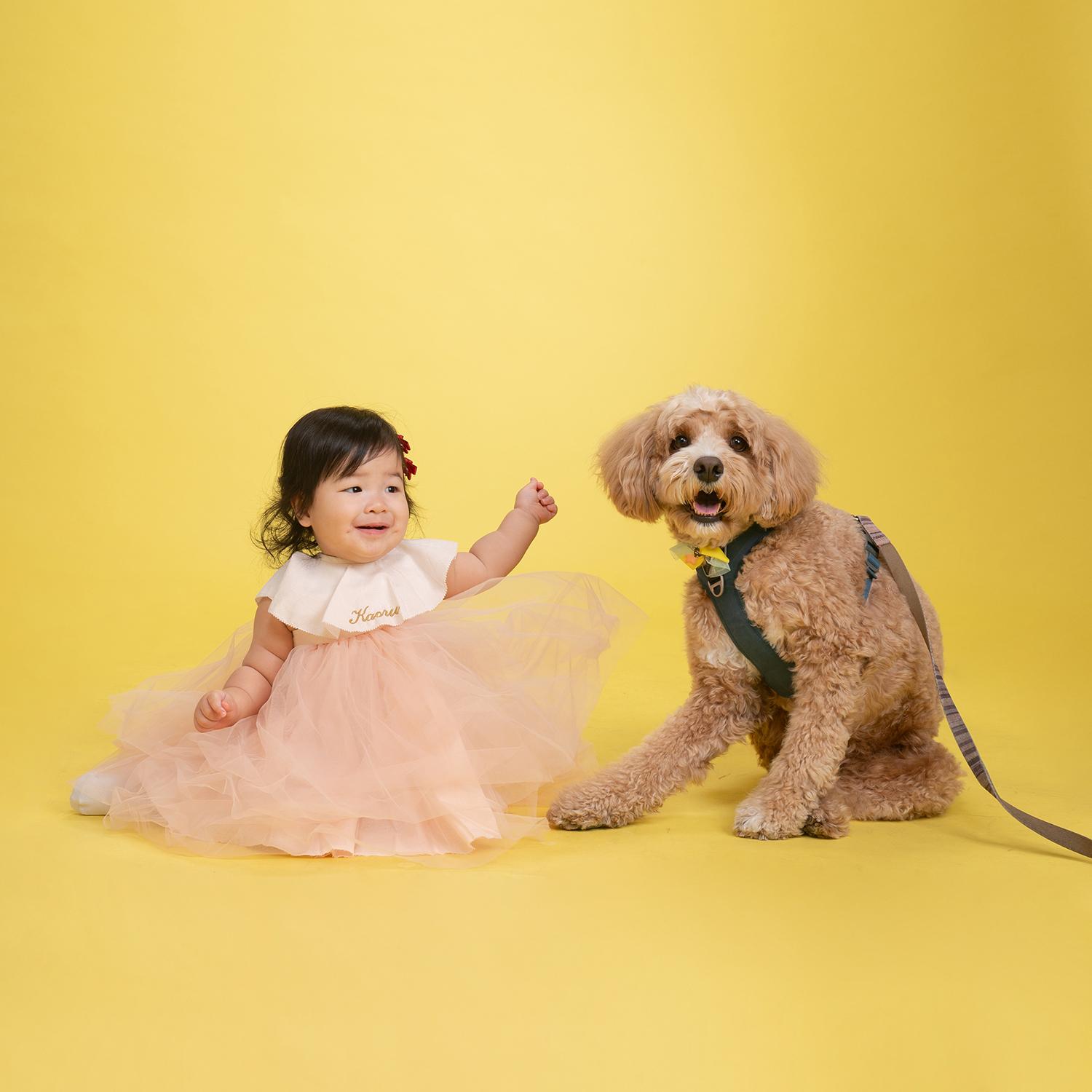 高槻のフォトスタジオでペットと一緒に入学記念写真