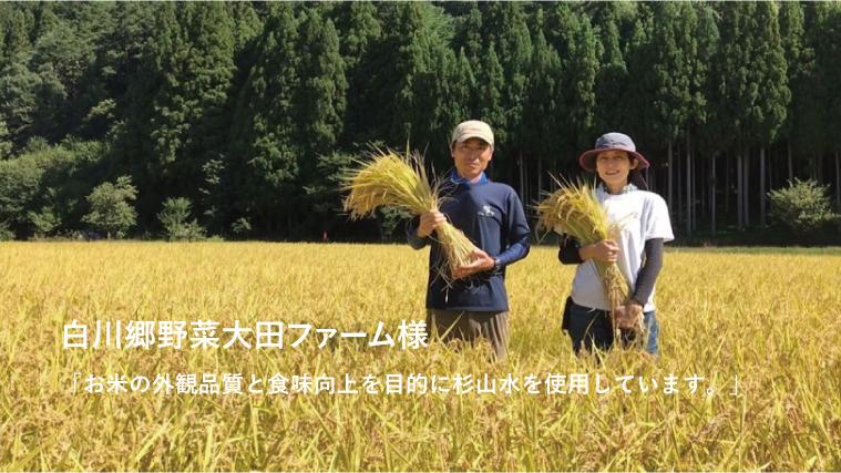 杉山水使用米農家の感想