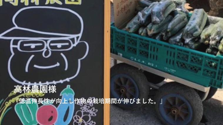 杉山水使用野菜農家の感想１