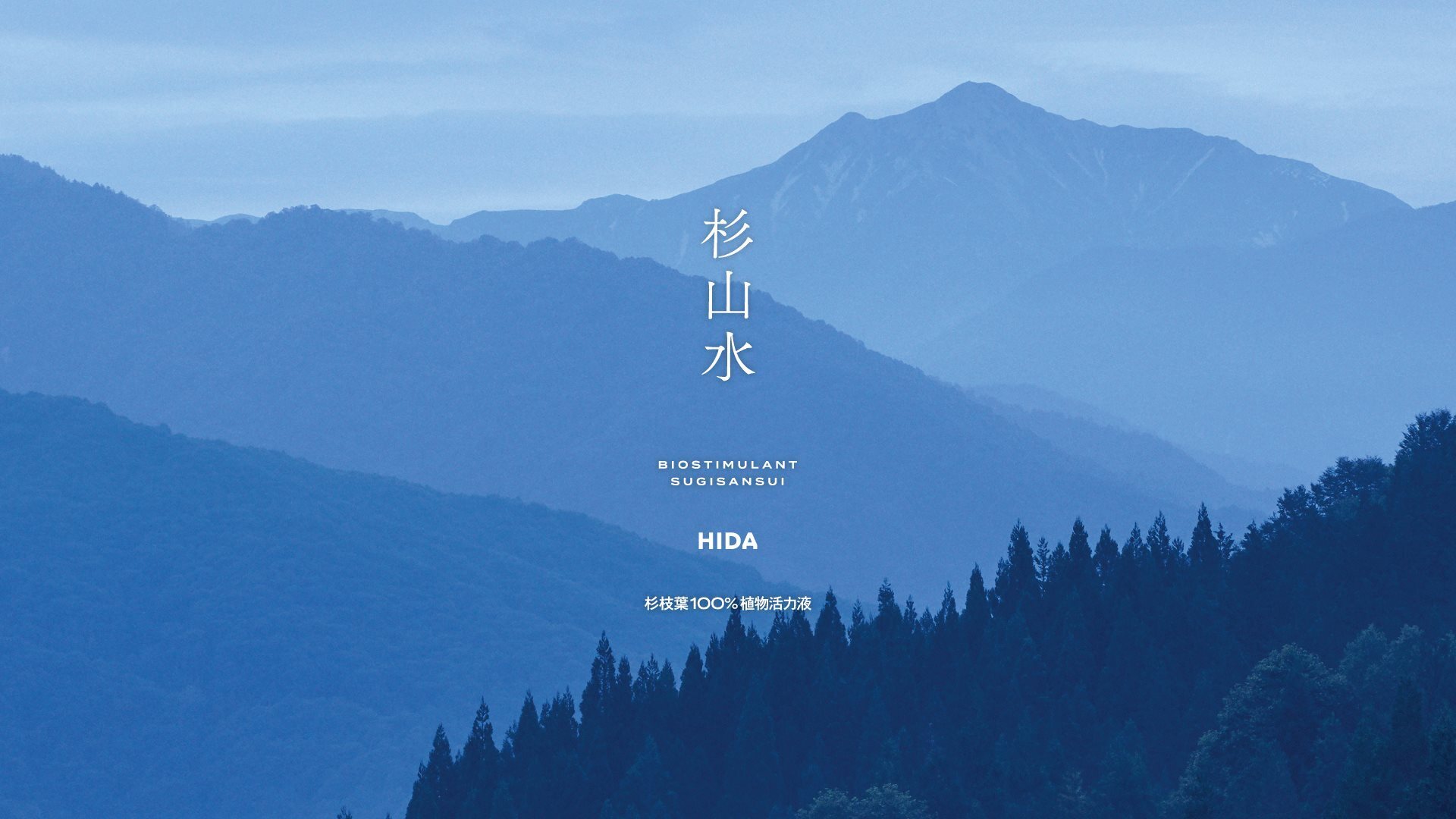 杉山水ブランドメイン画像