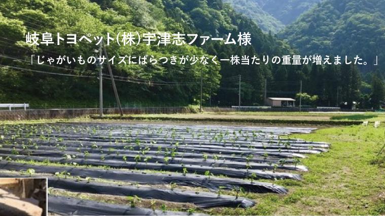 杉山水使用野菜農家の感想２