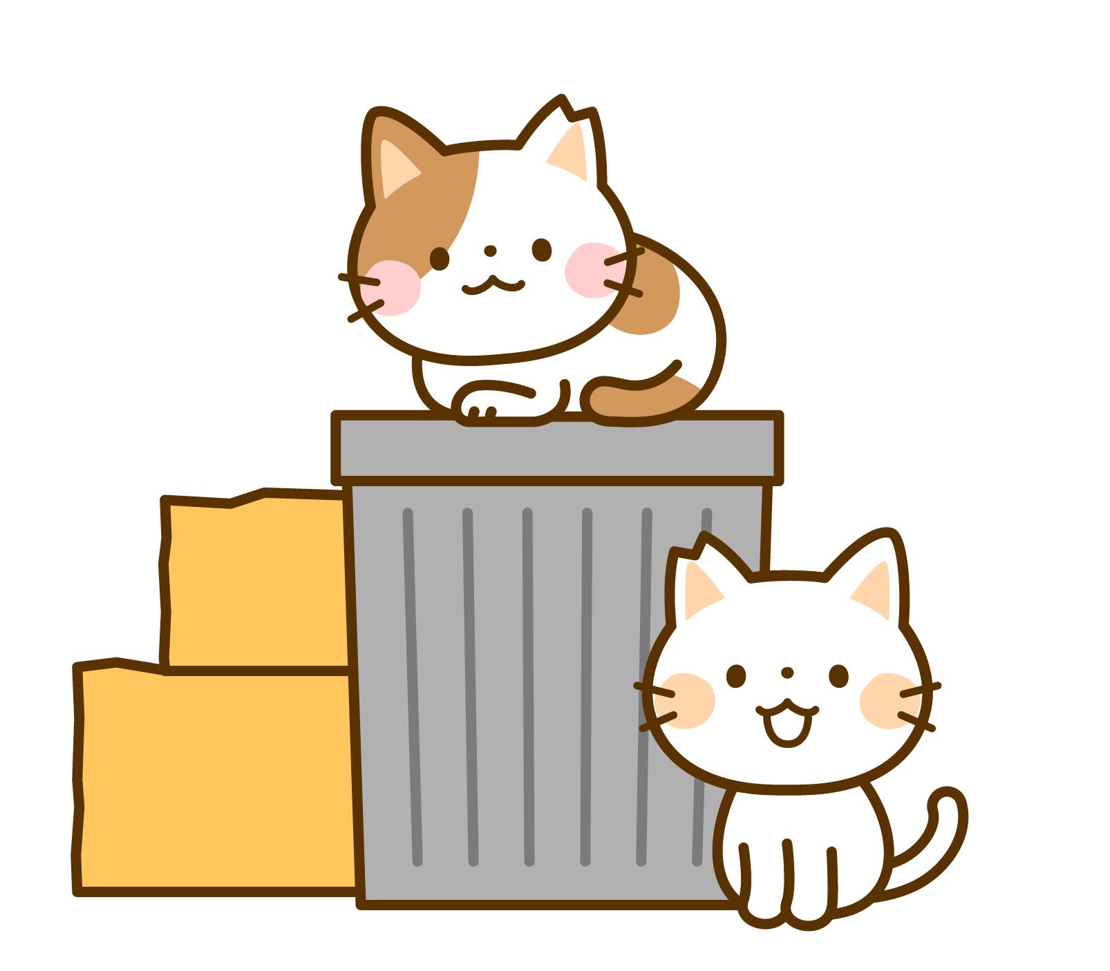 TNR保護猫活動子ねこ　保護猫　福岡　福岡市保護猫　福岡市保護猫譲渡　保護猫里親募集福岡市　猫捕獲福岡市　保護猫預かりボランティア福岡市