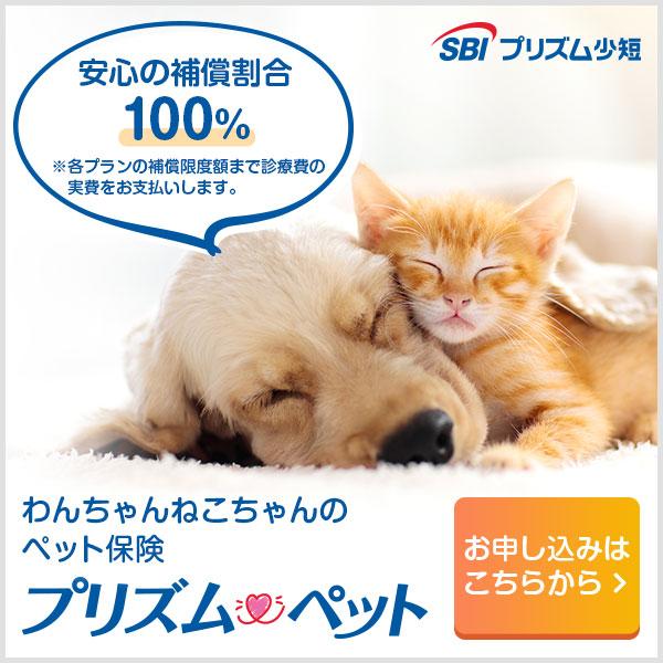 SBIペット保険のご案内