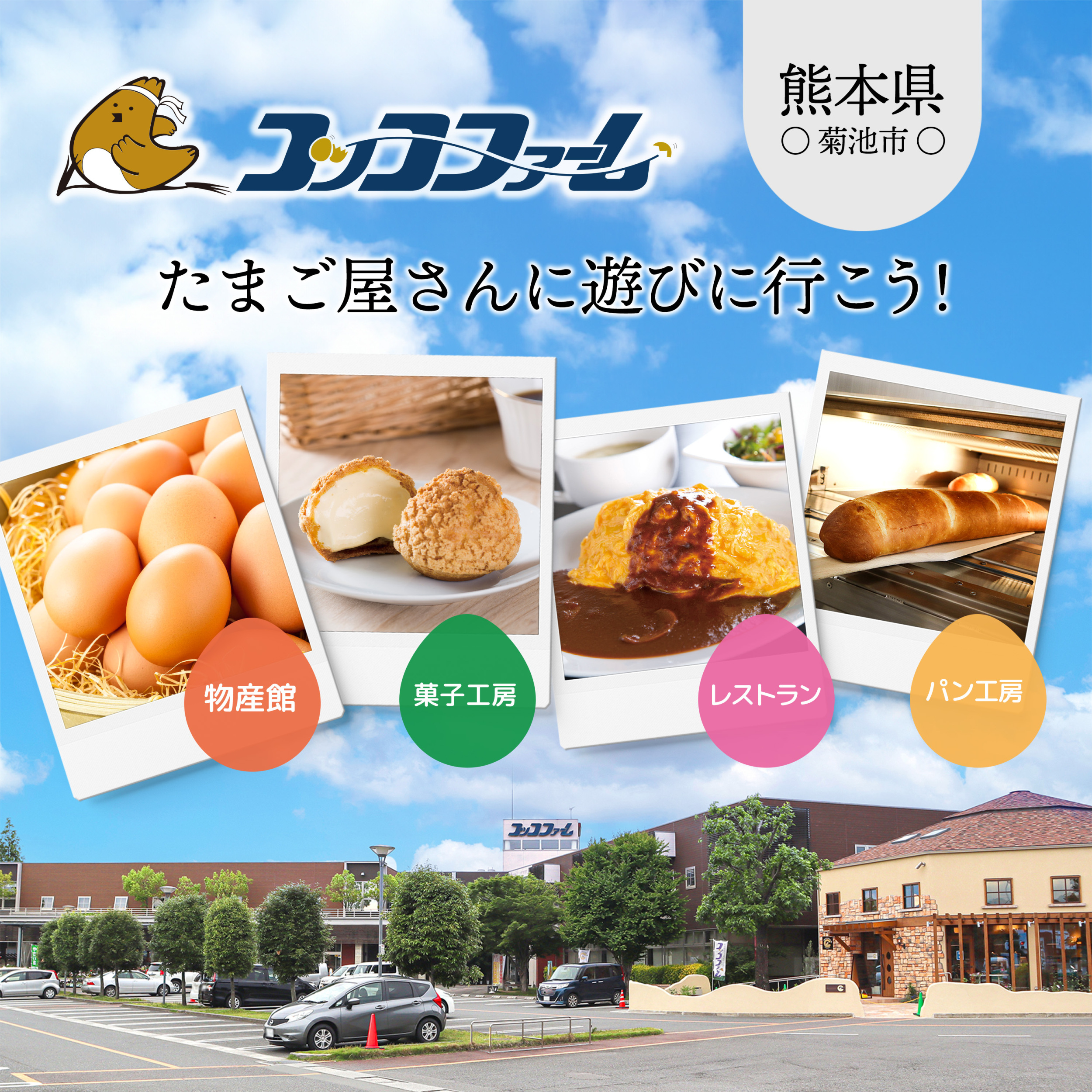 当店直営農場からお届けするたまご専門店コッコファーム