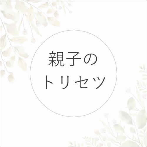親子のトリセツの商品画像
