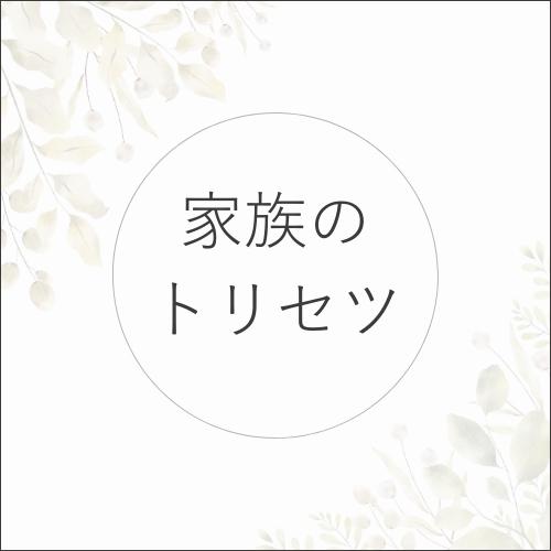 家族のトリセツの商品画像