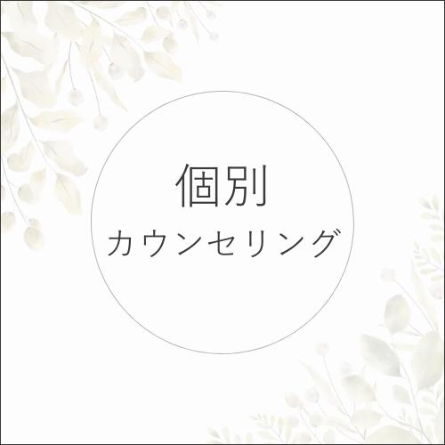 個別カウンセリングの商品画像