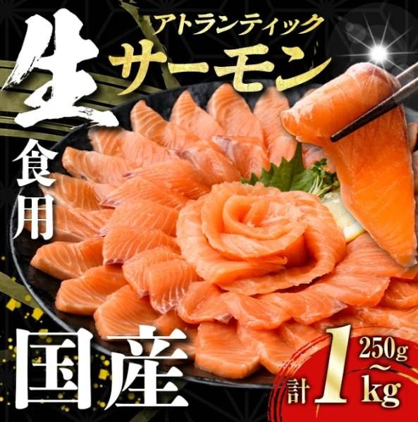 小山町産アトランティックサーモン【冷凍ブロック】の商品画像