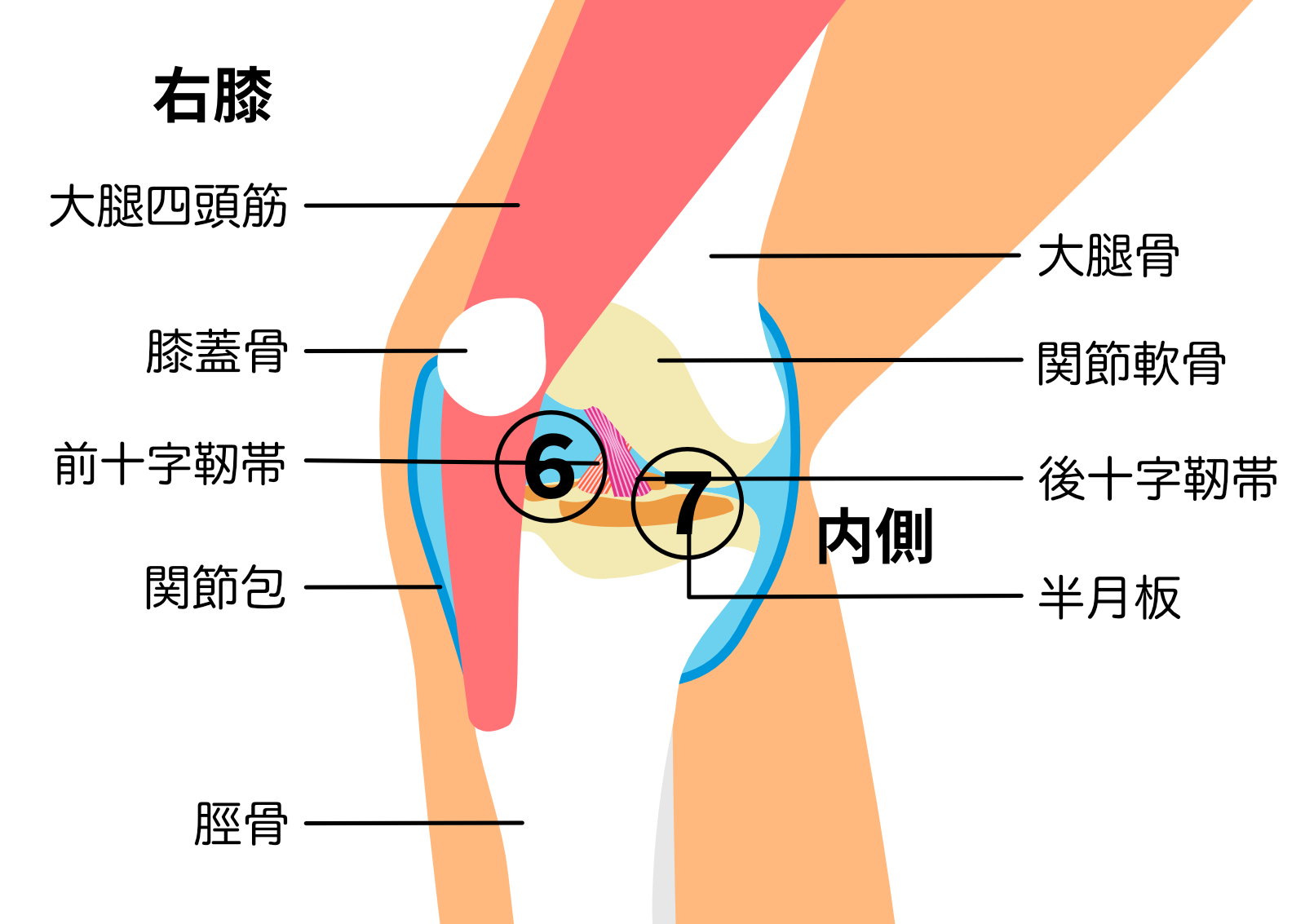 青森／整体／関節痛【青森リハビリ整体院】