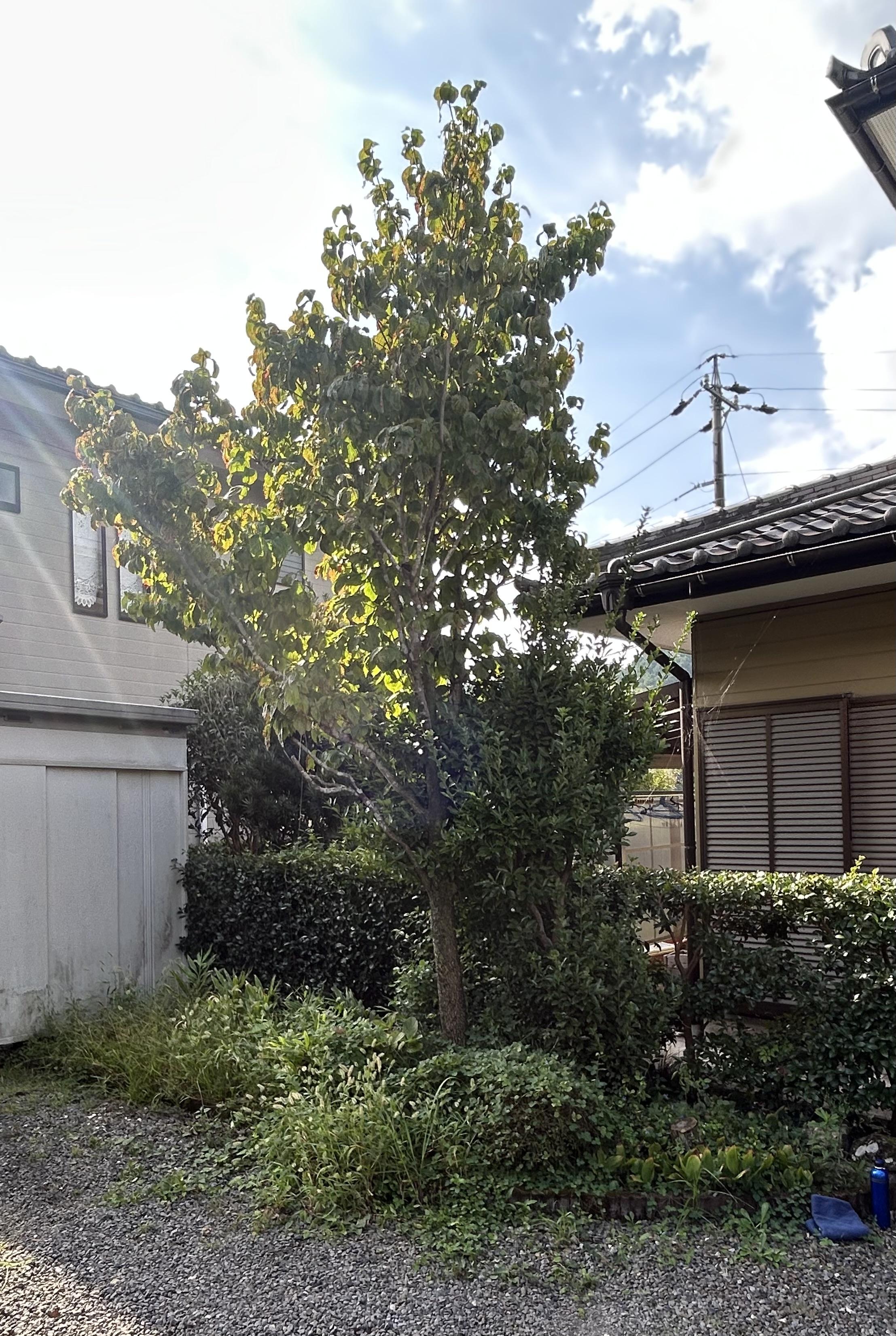 岐阜　愛知　三重　草刈り　剪定　草抜き　防草　除草　御用聞き　スマイル本舗ガーデン部