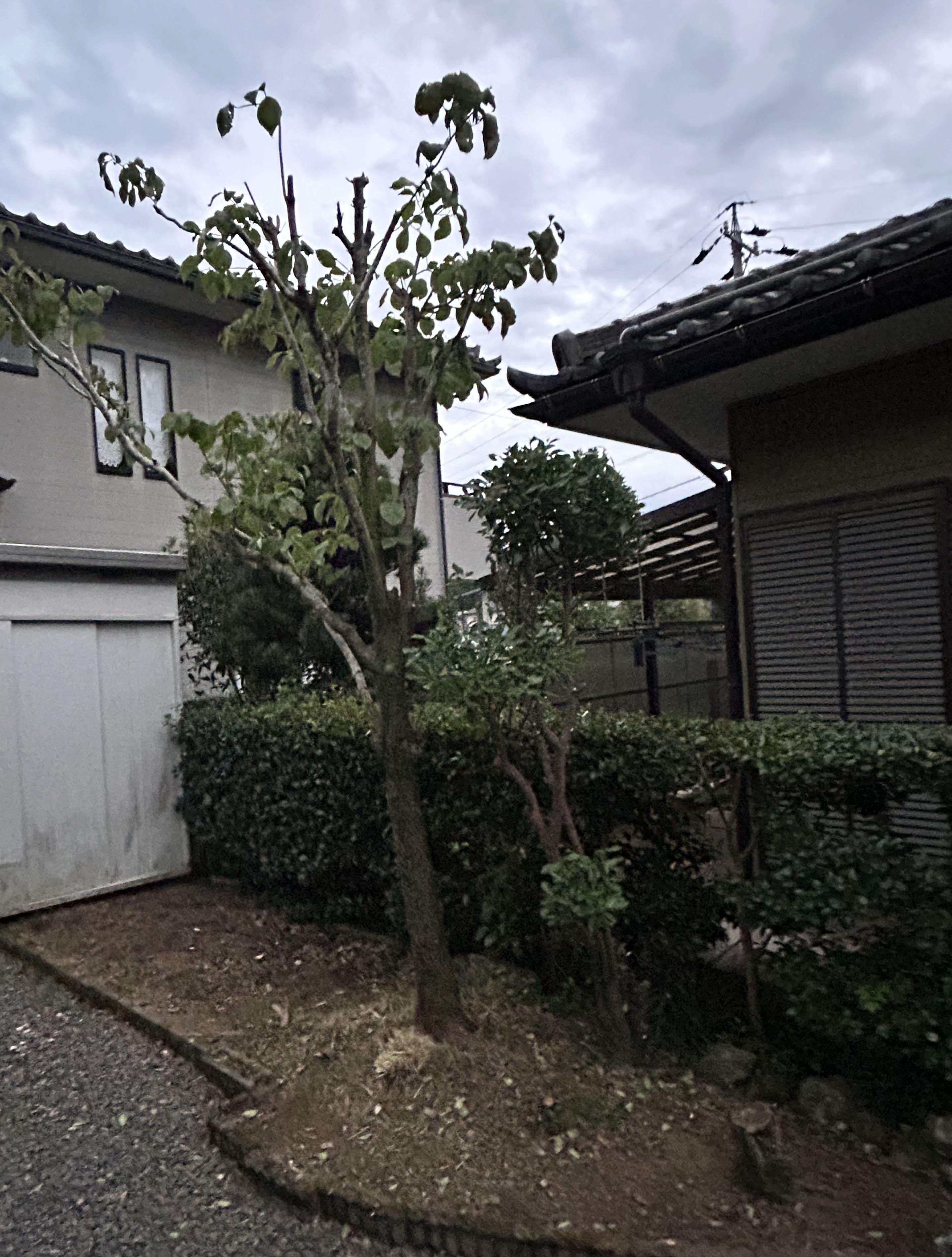 岐阜　愛知　三重　草刈り　剪定　草抜き　防草　除草　御用聞き　スマイル本舗ガーデン部