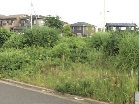 岐阜　愛知　三重　草刈り　剪定　草抜き　防草　除草　御用聞き　スマイル本舗