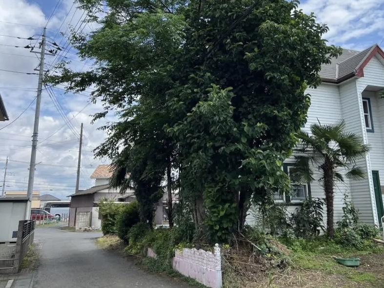 岐阜　愛知　三重　草刈り　剪定　草抜き　防草　除草　御用聞き　スマイル本舗