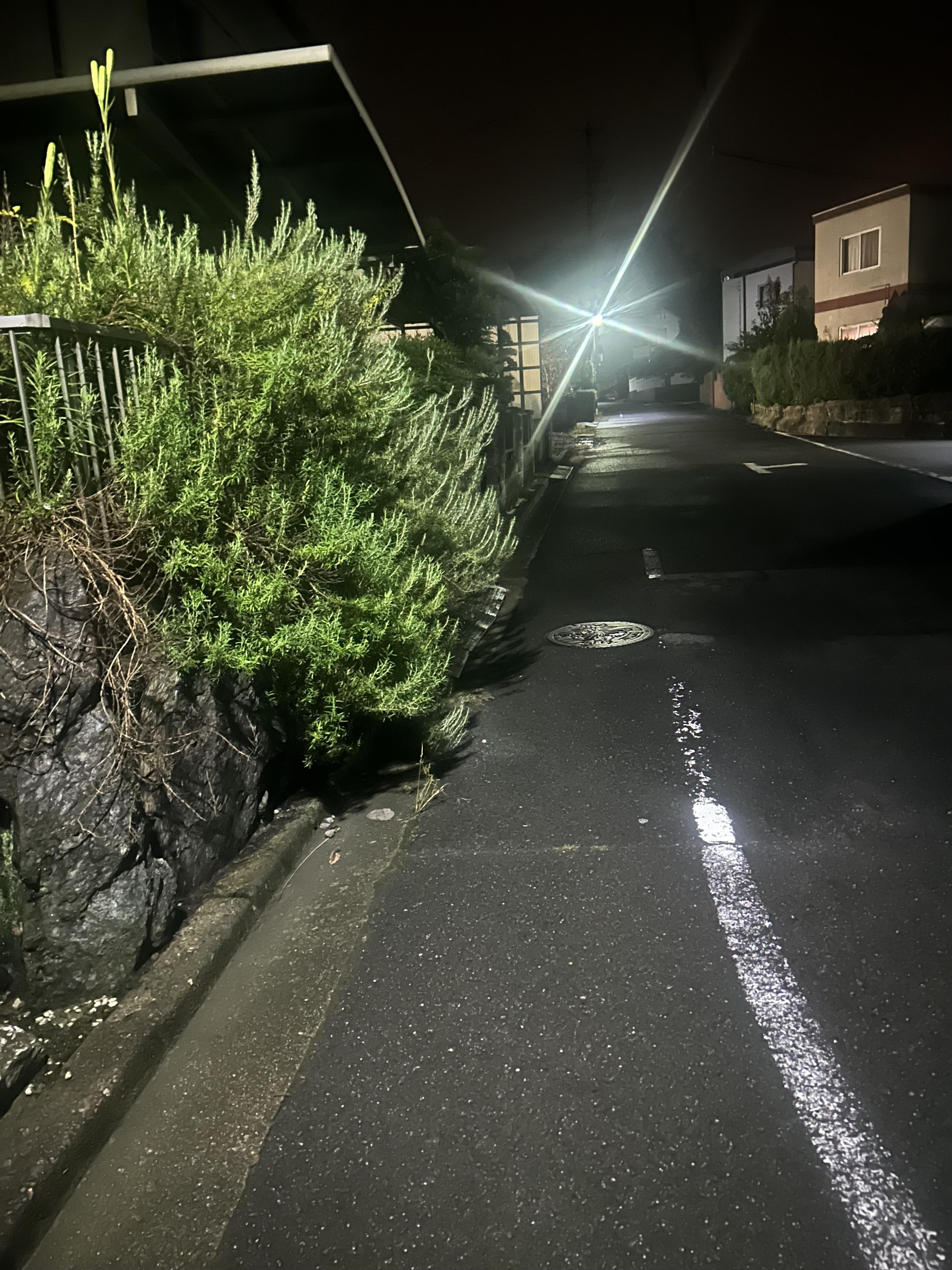 岐阜　愛知　三重　草刈り　剪定　草抜き　防草　除草　御用聞き　スマイル本舗　ガーデン部