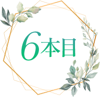 6本目