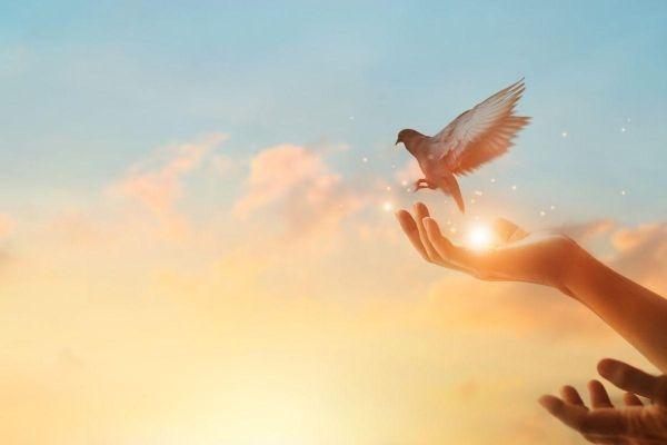 空に向かって手を差し伸べる人の手と、その手から羽ばたく白い鳩。希望と自由を象徴する穏やかな風景。｜クレプトマニア(窃盗症)からの回復｜HOPE
