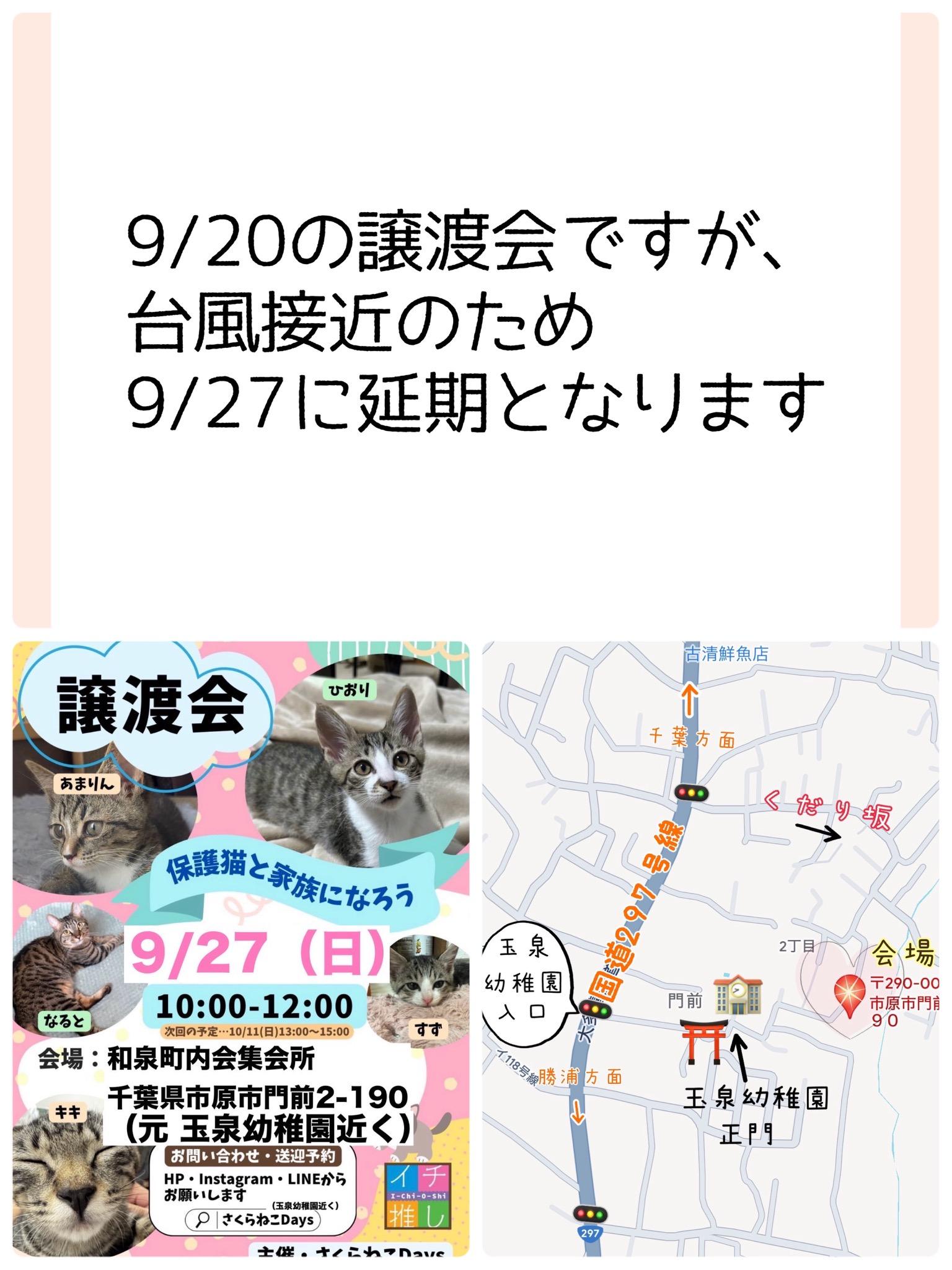 さくらねこDays ホームページ