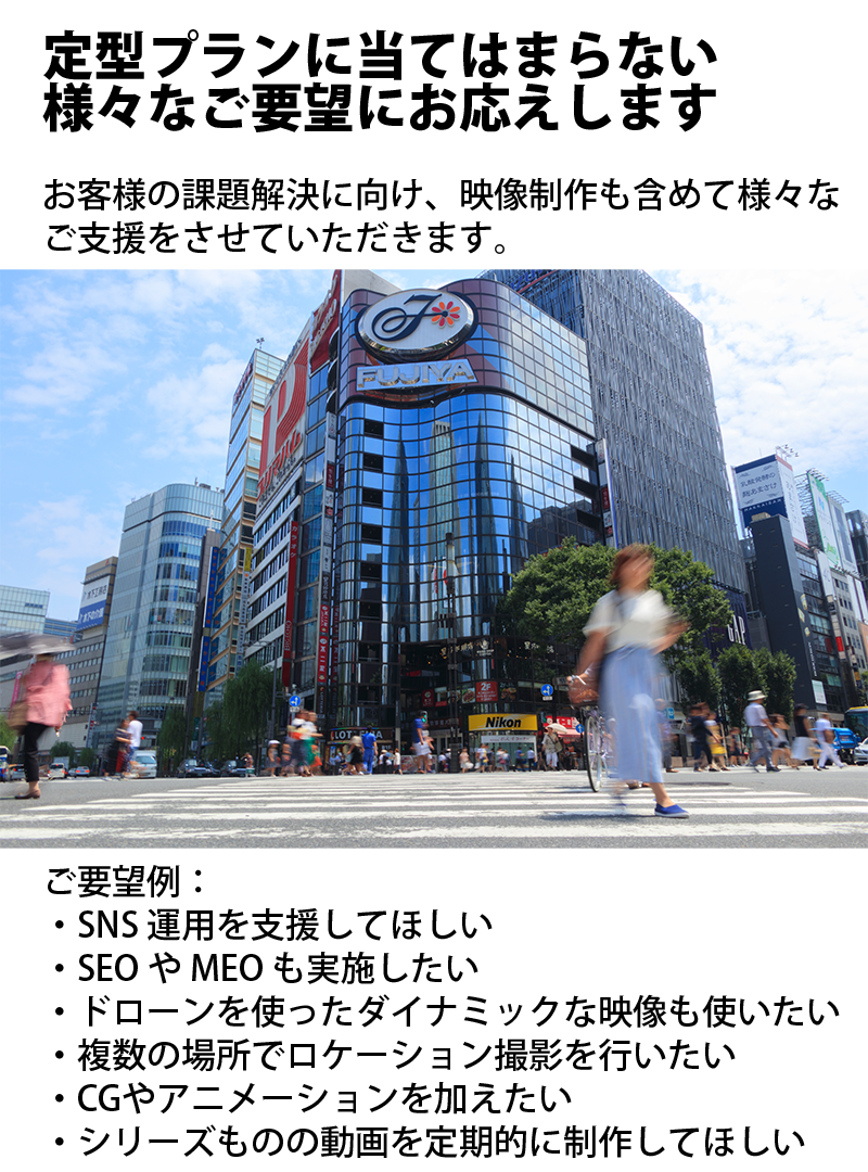 定型プランに当てはまらない 高度なご要望にもお応えします。お客様の課題解決に向け、映像制作も含めて様々な ご支援をさせていただきます。ご要望例： ・SNS 運用を支援してほしい ・SEO や MEO も実施したい​ ・ドローンを使ったダイナミックな映像も使いたい ・​複数の場所でロケーション撮影を行いたい ・​CGやアニメーションを加えたい ・​シリーズものの動画を定期的に制作してほしい