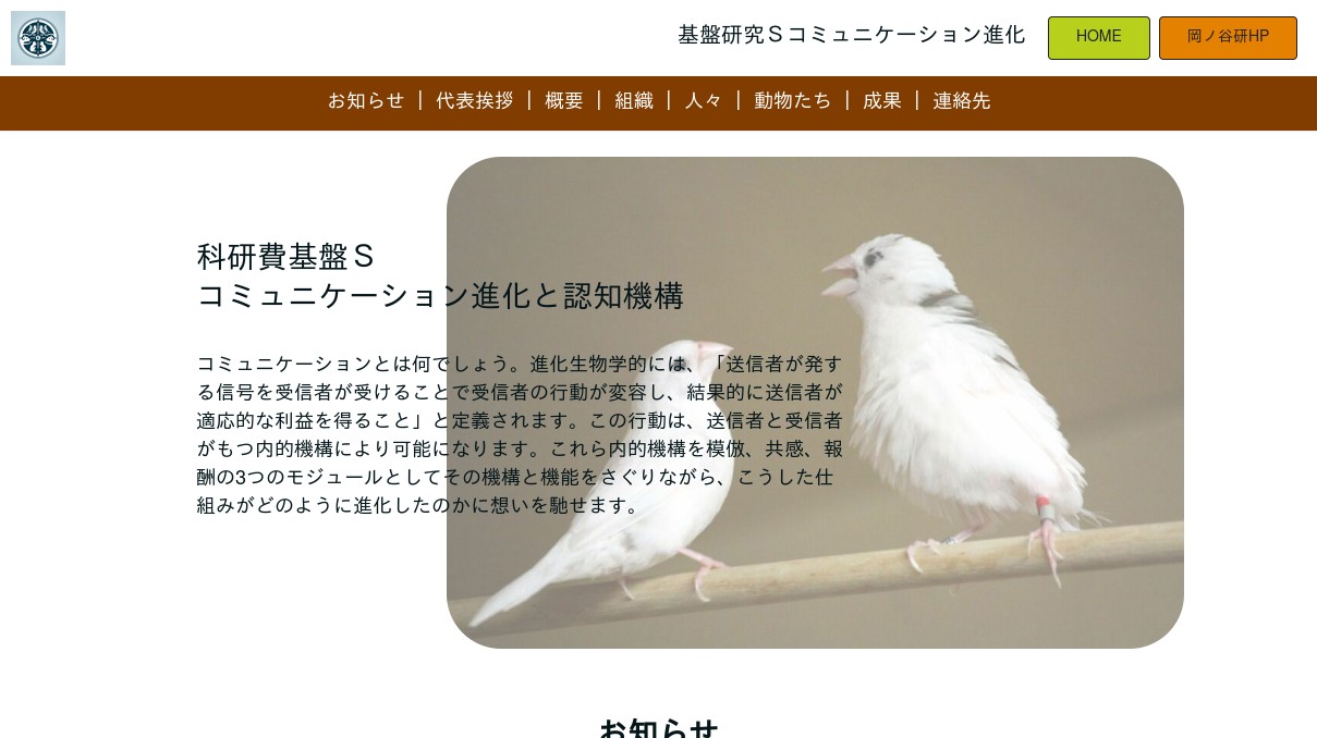 科研費基盤Sコミュニケーション進化認知