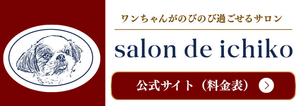 Salon de Ichiko 公式サイト