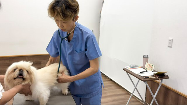 診療の様子