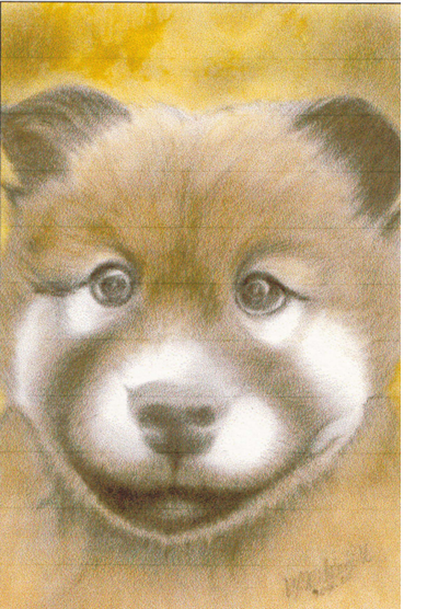 かわいい子犬