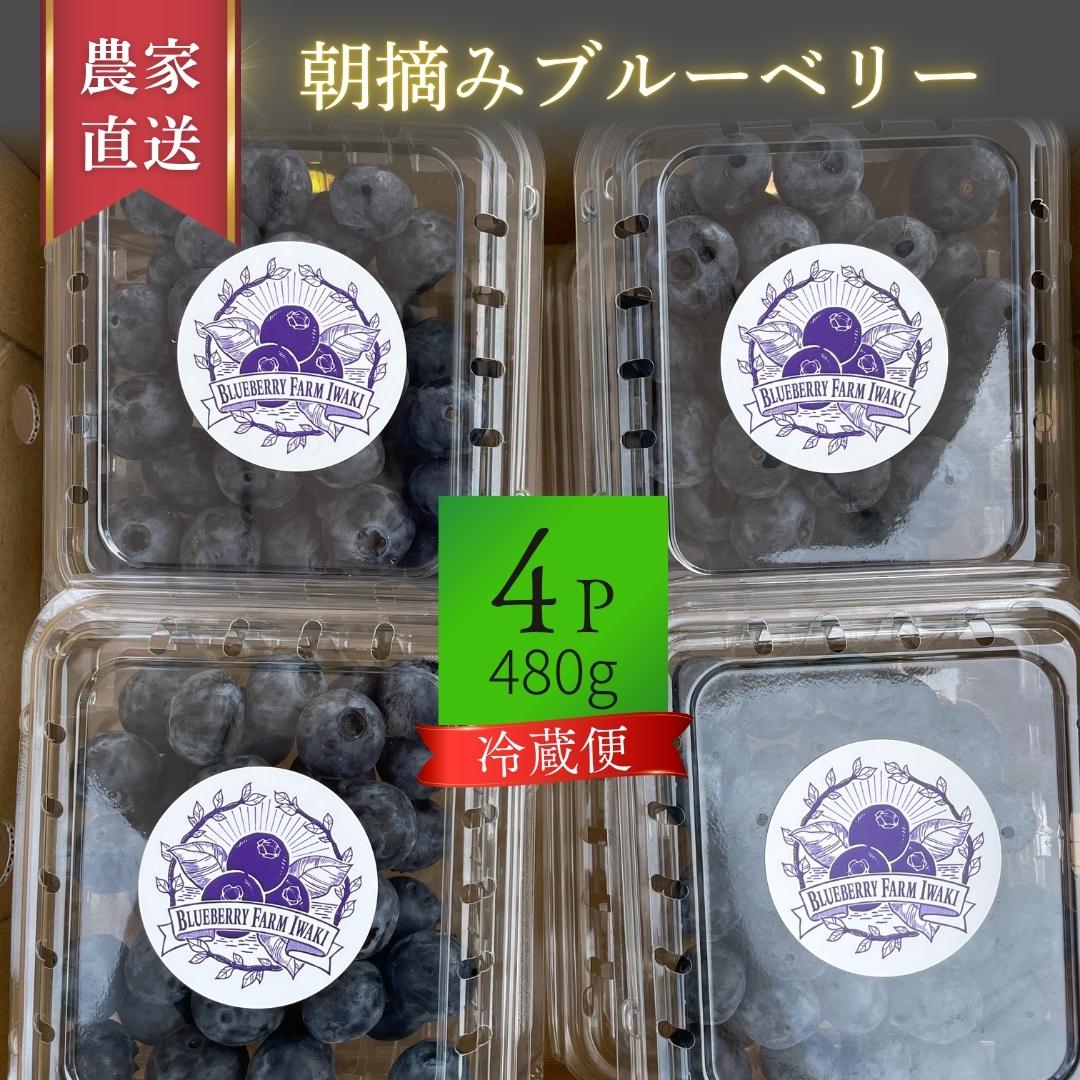 冷蔵ギフトセット4パック（120g×4＝480g）の商品画像