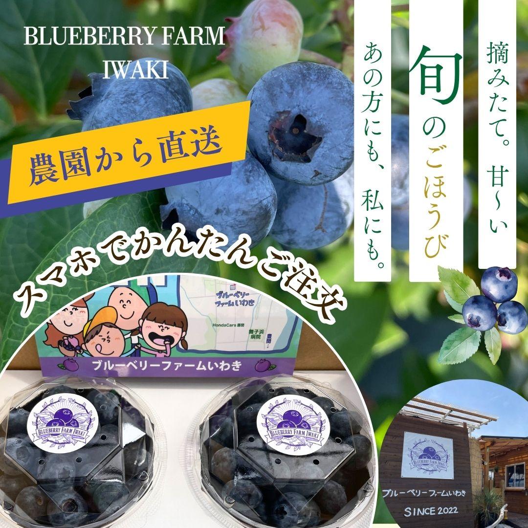ブルーベリーファームいわきの農園から直送　摘みたて甘～い旬のごほうび。あの方にも私にも。スマホでかんたん注文