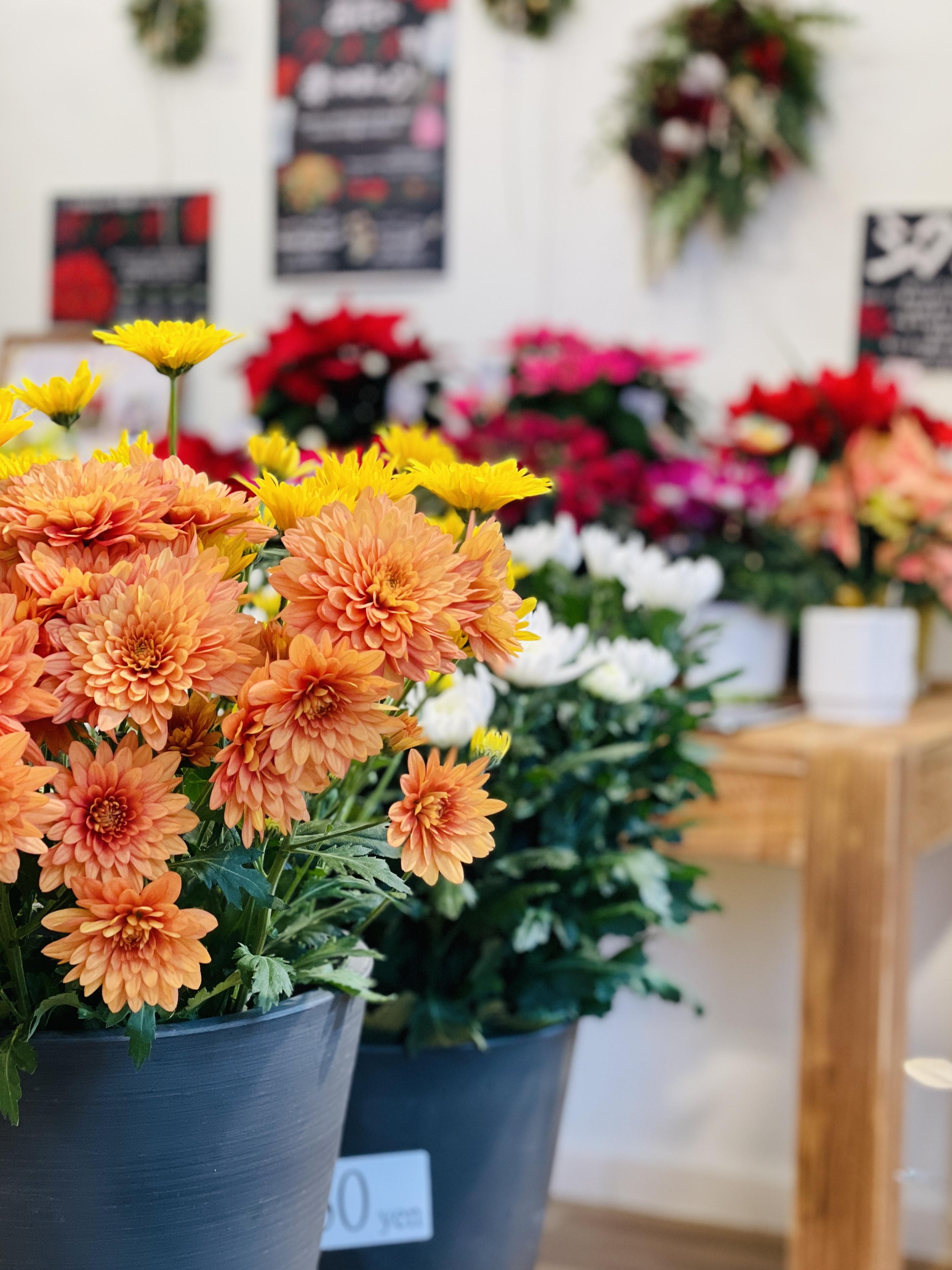 店内写真、花のアップ